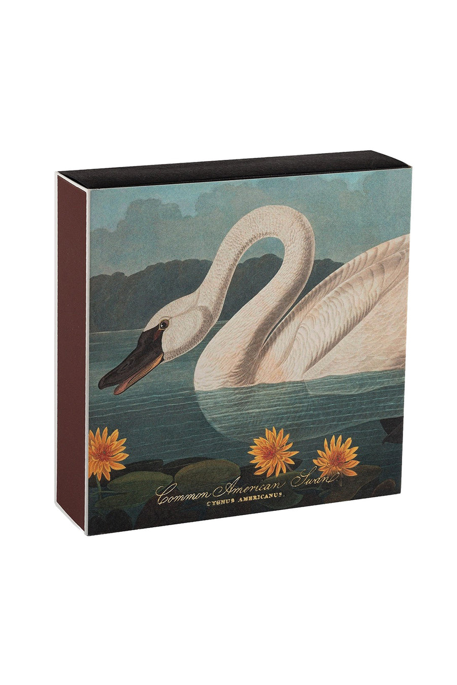 Zapałki / American Swan