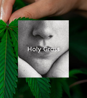 Świeca sojowa - Holy Grass