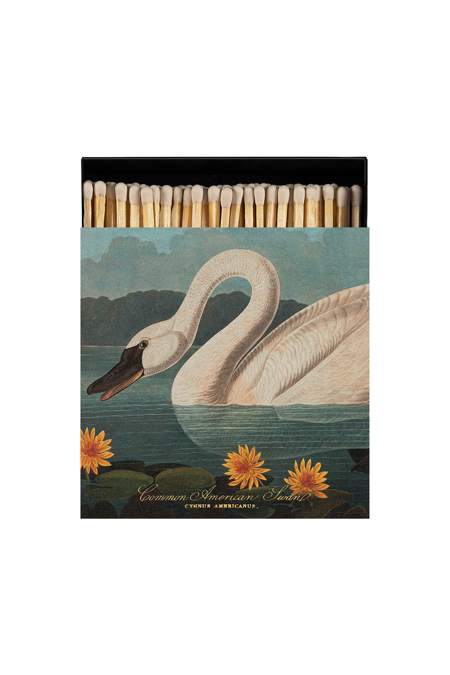 Zapałki / American Swan